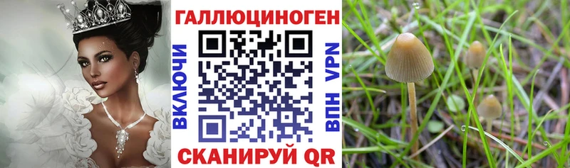 Псилоцибиновые грибы мухоморы  Ачхой-Мартан 